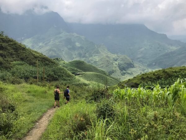 Hiking Through Hoang Su Phi's Most Breathtaking Rice Terraces 8 Days